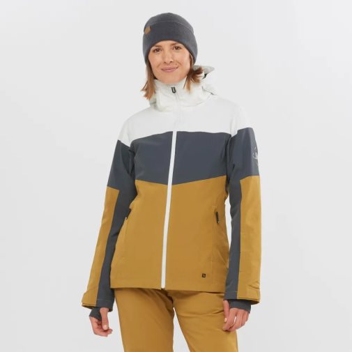 Dámské Lyžařské Bundy Salomon Slalom Insulated Hoodie Bílé Černé Olivy Zelené | CZ 04FCZQB